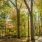 street view with lots of trees